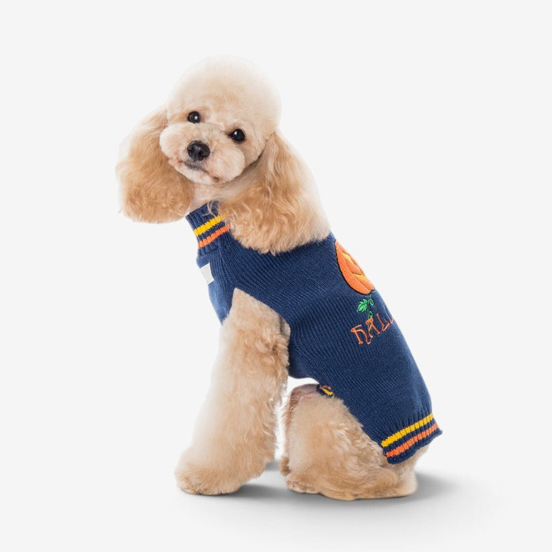 PawKnit - Spooky Pumpkin Dog Sweater