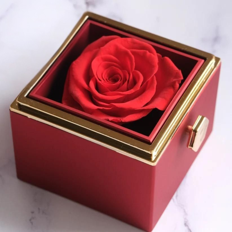 Eternal Rose Box with Cuddle Necklace