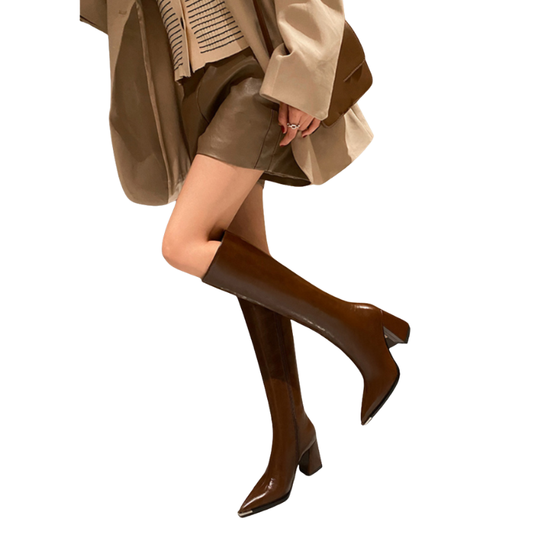 Maren – Kniehoge Laarzen met Puntige Neus en Blokhakken Velani