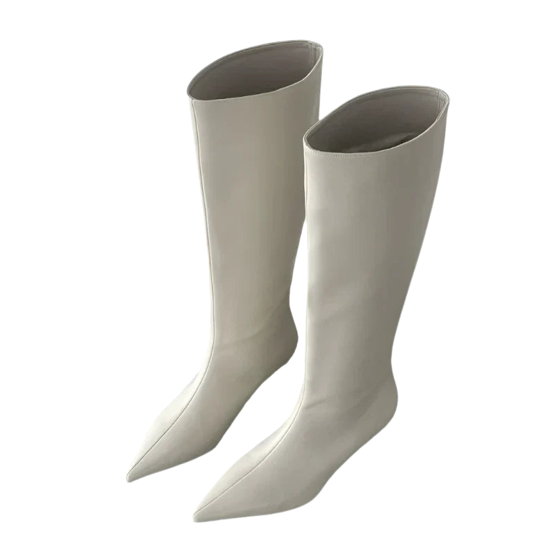 Nova – Kniehoge Laarzen met Puntige Neus en Strakke Hak Velani