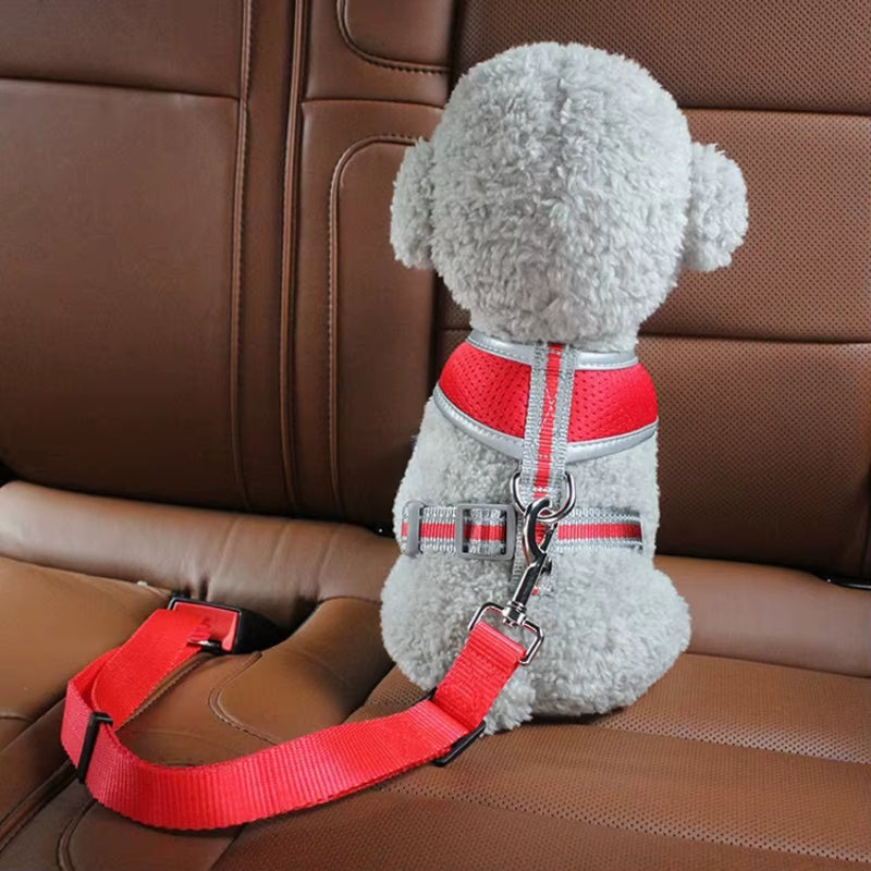 PawSecure – Adjustable Seat Belt for Dogs and Cats