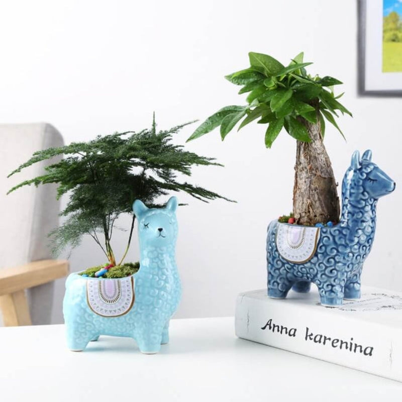 AlpacaBloom – Alpaca Shaped Flower Pot for Playful Decoration