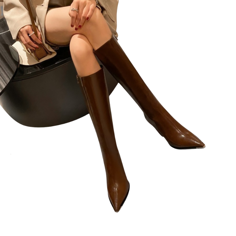 Maren – Kniehoge Laarzen met Puntige Neus en Blokhakken Velani