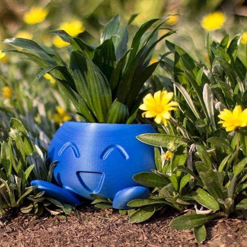 SmileBloom – Decoratieve Bloempot met Smiley Ontwerp Velani