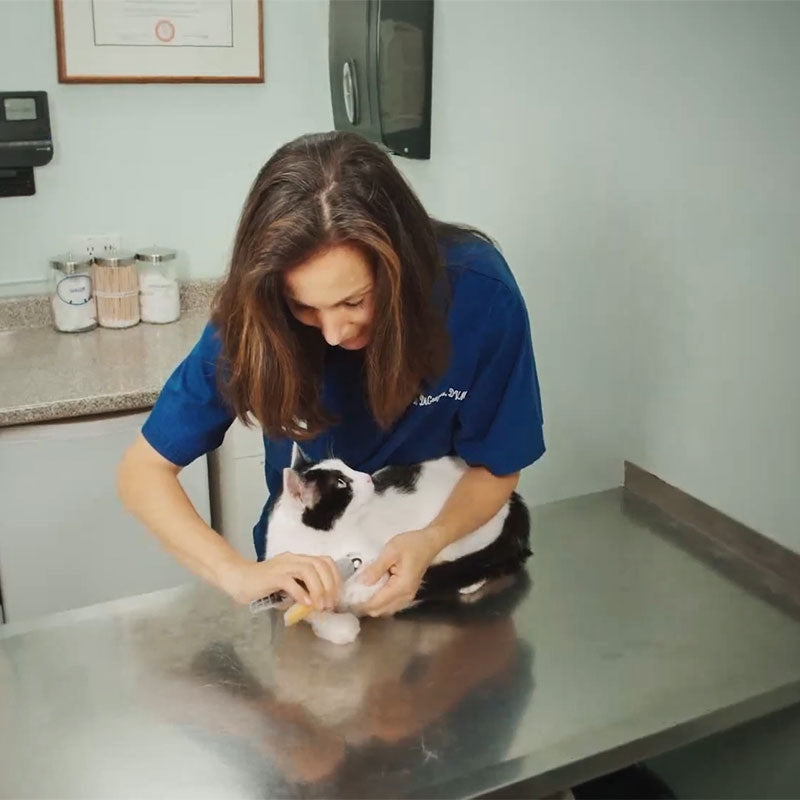 PawBright – Portable Animal Nail Clippers with LED Light