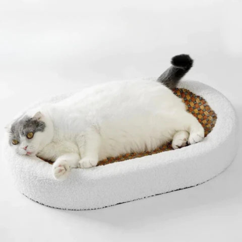 PawHaven – Krabmat Bed voor Katten met Bijtspeeltje Velani