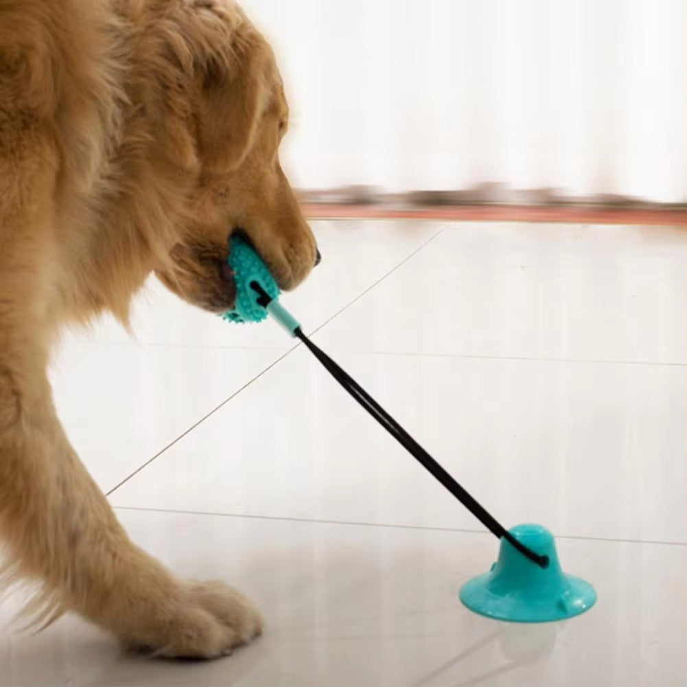 PawPlay – Interactive Dog Toy with Suction Cup & Texture