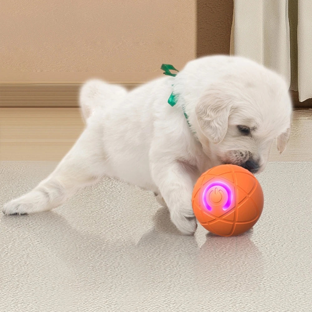 PawSpin – Interactive Car Rolling Toy for Dogs & Cats