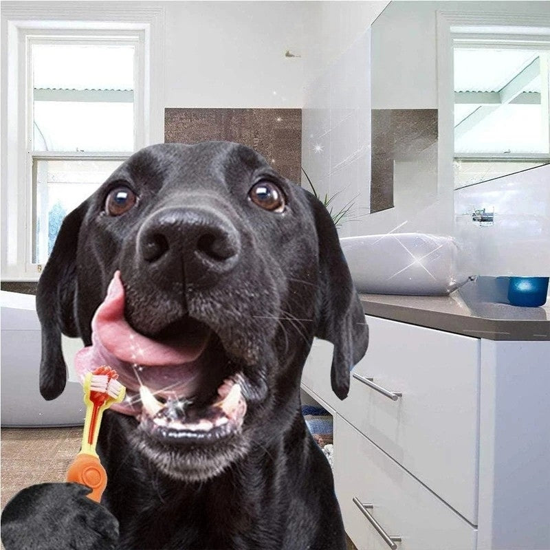 PawAngle – 3-Sided Toothbrush for Dogs & Cats