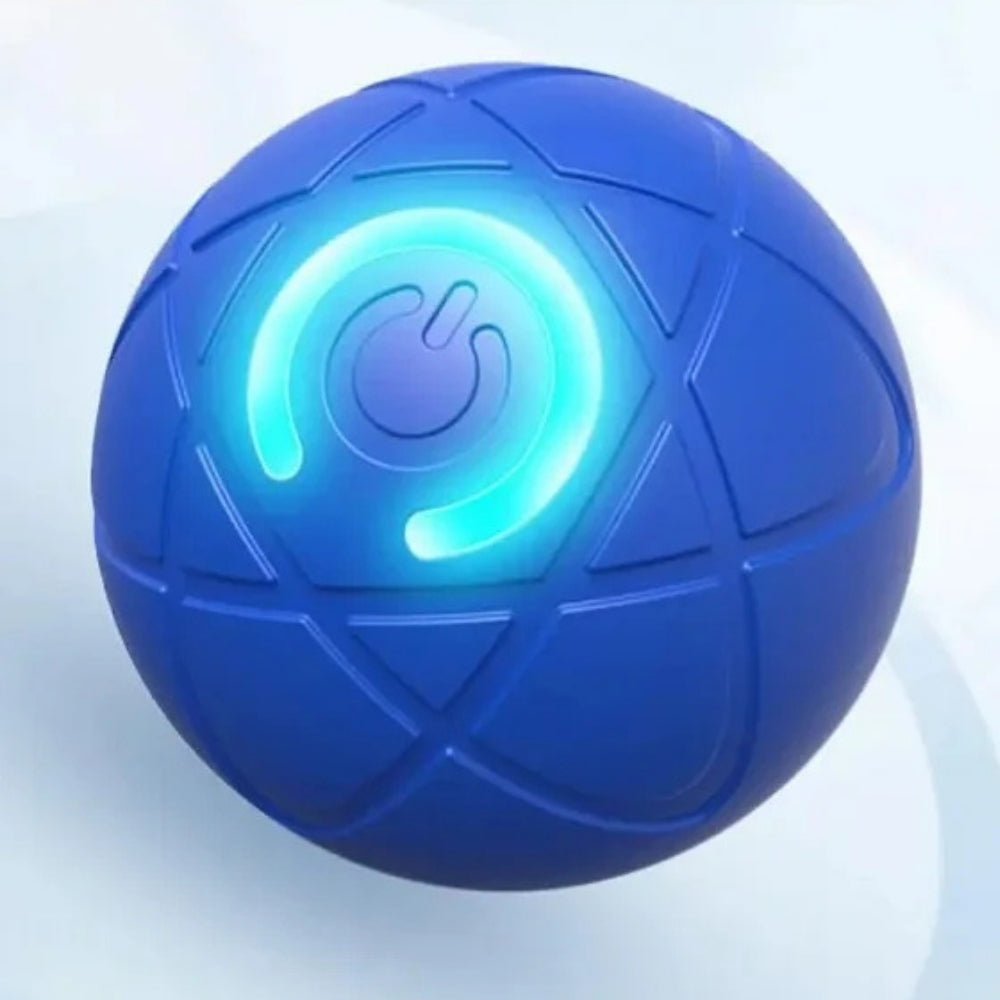 PawSpin – Interactive Car Rolling Toy for Dogs & Cats