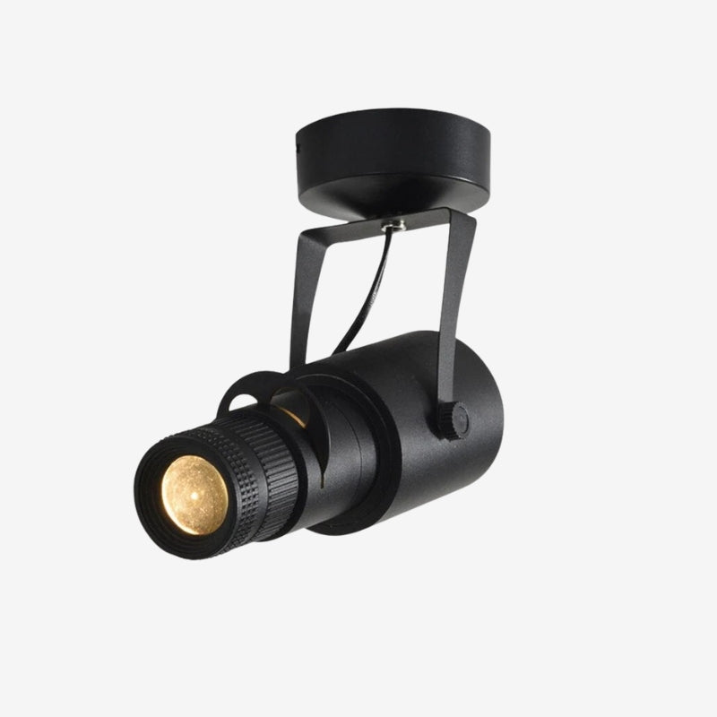 SpotFlex – Adjustable Indoor Spotlights