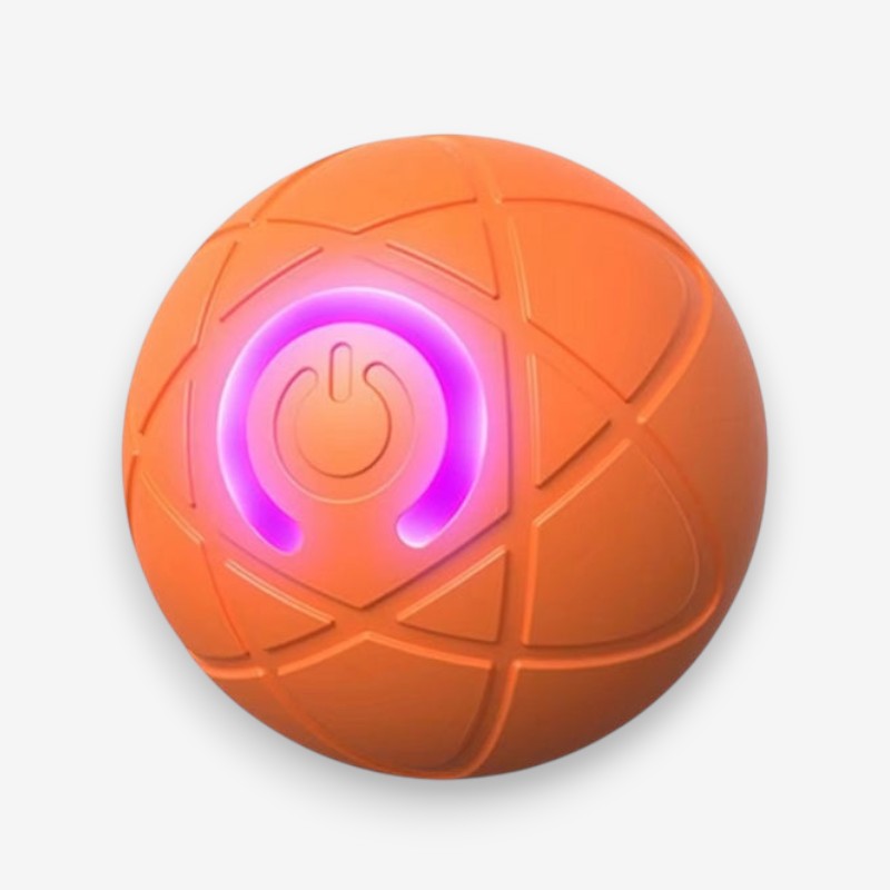 PawSpin – Interactive Car Rolling Toy for Dogs & Cats