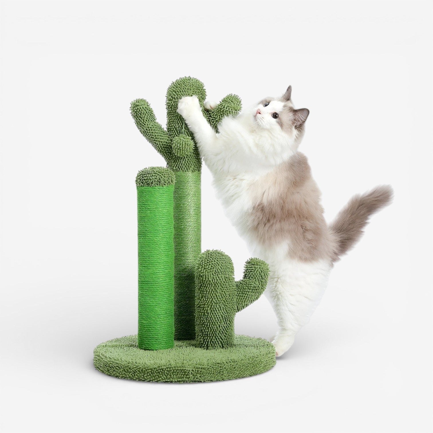 PurrPlay – Scratching Post Cactus with Hanging Ball