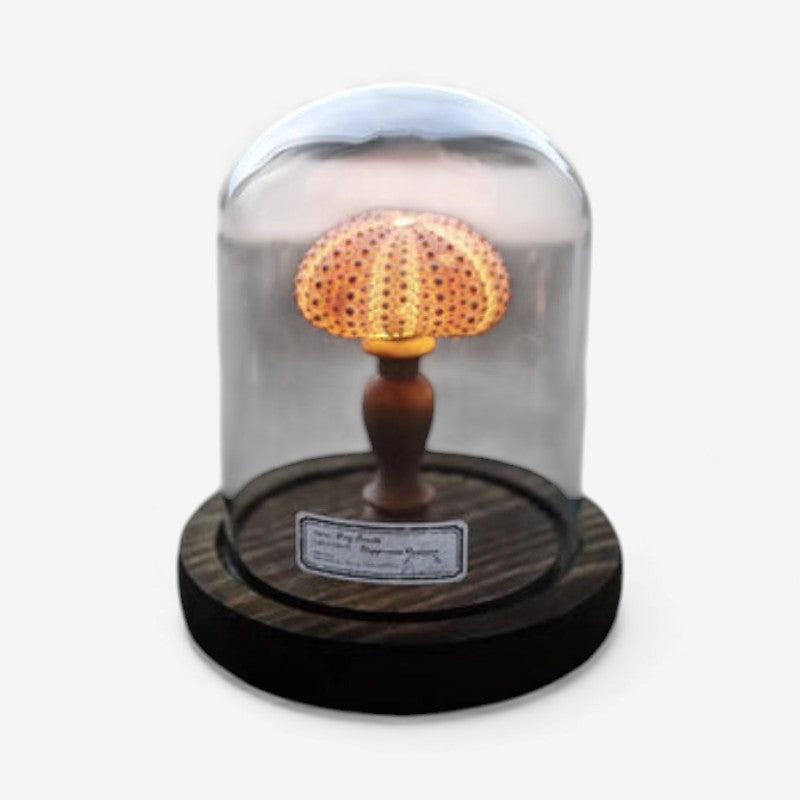 SeaLume – Mini LED Glass Bell Jar Lamp with Sea Mushroom Design