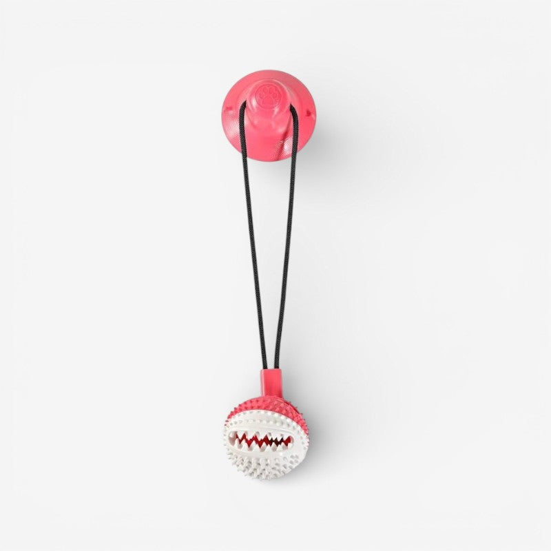 PawPlay – Interactive Dog Toy with Suction Cup & Texture