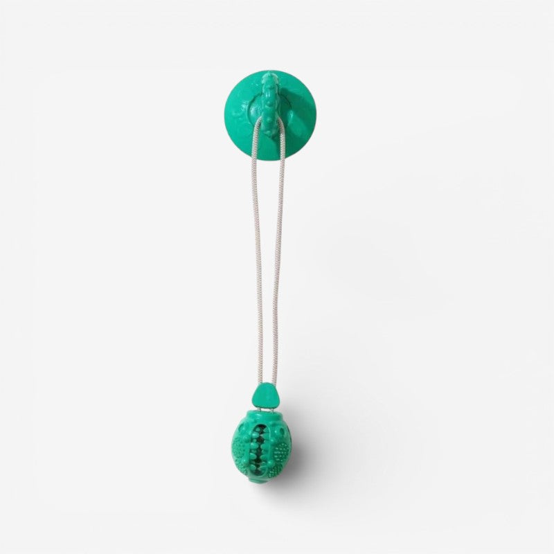 PawPlay – Interactive Dog Toy with Suction Cup & Texture