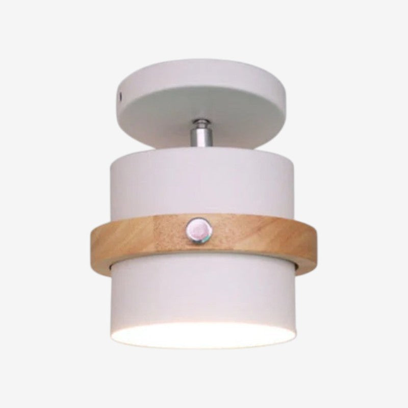 SpinLux – Rotating Ceiling Lamp