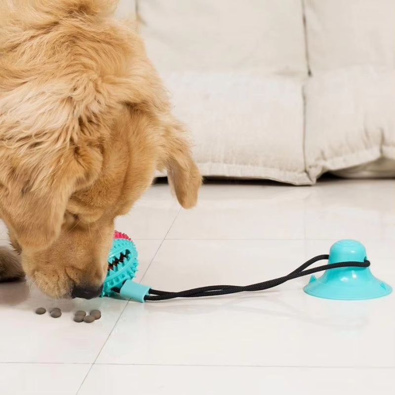 PawPlay – Interactive Dog Toy with Suction Cup & Texture