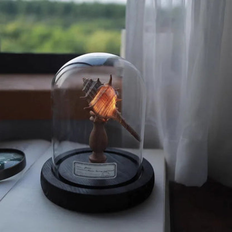 SeaLume – Mini LED Glass Bell Jar Lamp with Sea Mushroom Design