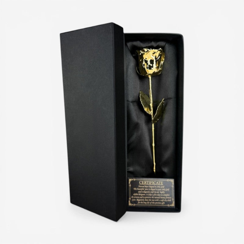 GoldenPetal – Preserved Real Rose Plated in 24K Gold