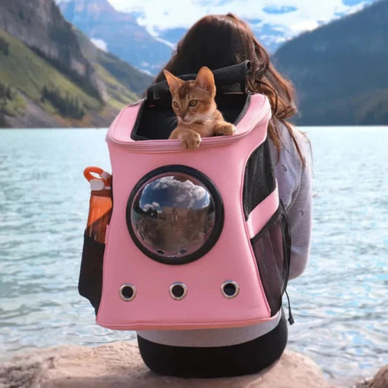 CatPorter – Transparent Cat Backpack with Dome Window & Ventilation Panels