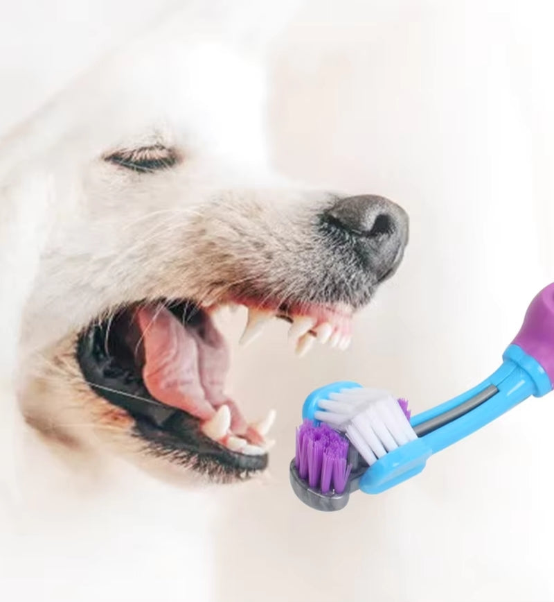PawAngle – 3-Sided Toothbrush for Dogs & Cats