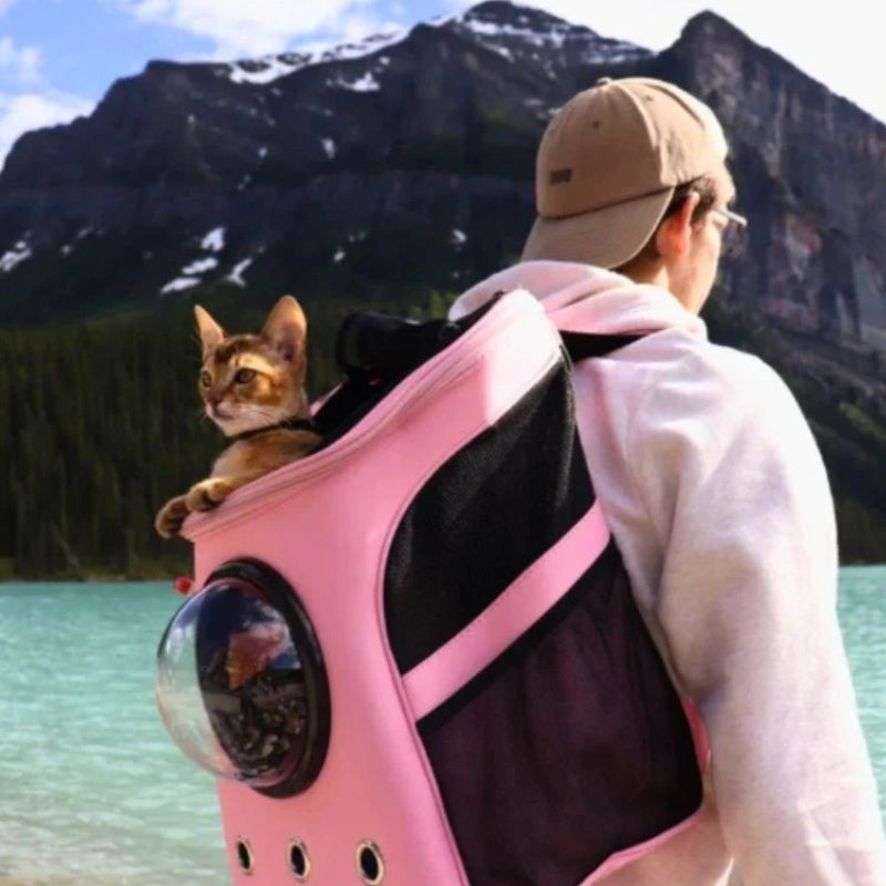 CatPorter – Transparent Cat Backpack with Dome Window & Ventilation Panels