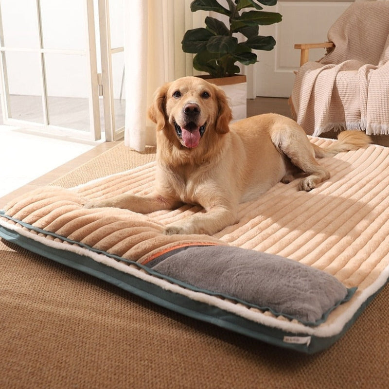 CozyPaw – Portable Pet Bed with Cushion and Adjustable Design