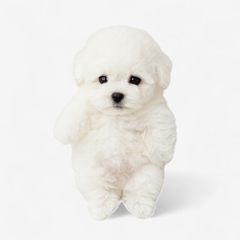 RoboPup – Realistische Robotpuppy Knuffel met Interactieve Functies Velani