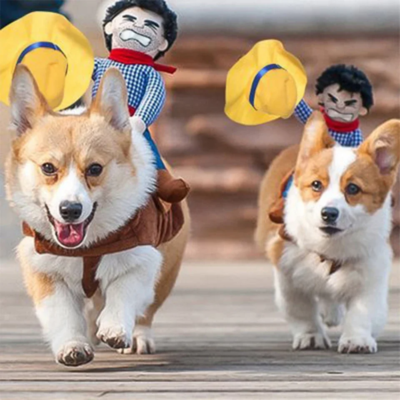 PawRider - Cowboy Dog Costume for Halloween