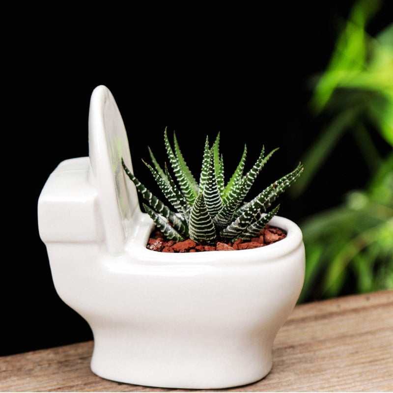 PottyCharm – Toilet-Shaped Succulent Planter