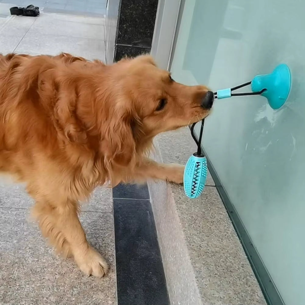 PawPlay – Interactive Dog Toy with Suction Cup & Texture