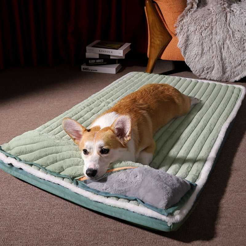 CozyPaw – Portable Pet Bed with Cushion and Adjustable Design