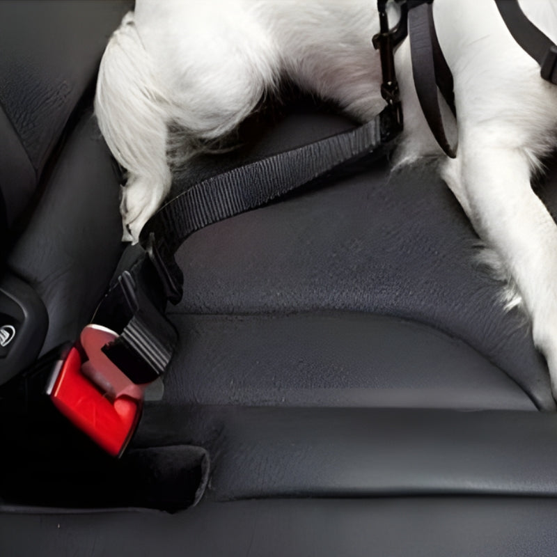 PawSecure – Adjustable Seat Belt for Dogs and Cats