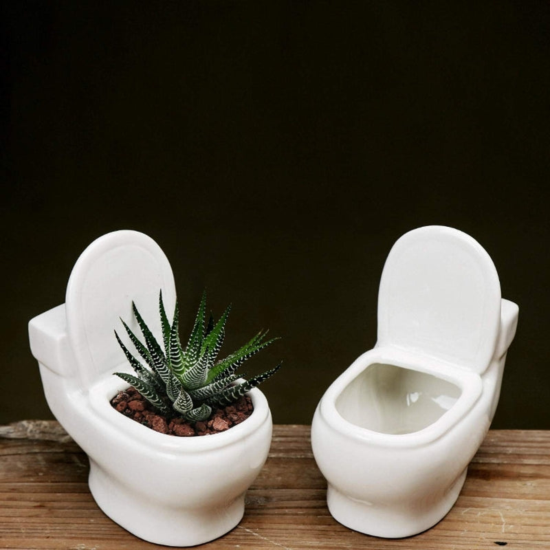 PottyCharm – Toilet-Shaped Succulent Planter