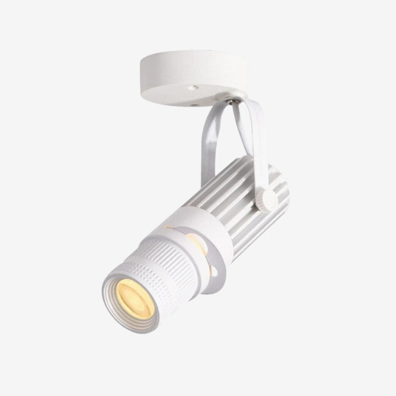SpotFlex – Adjustable Indoor Spotlights