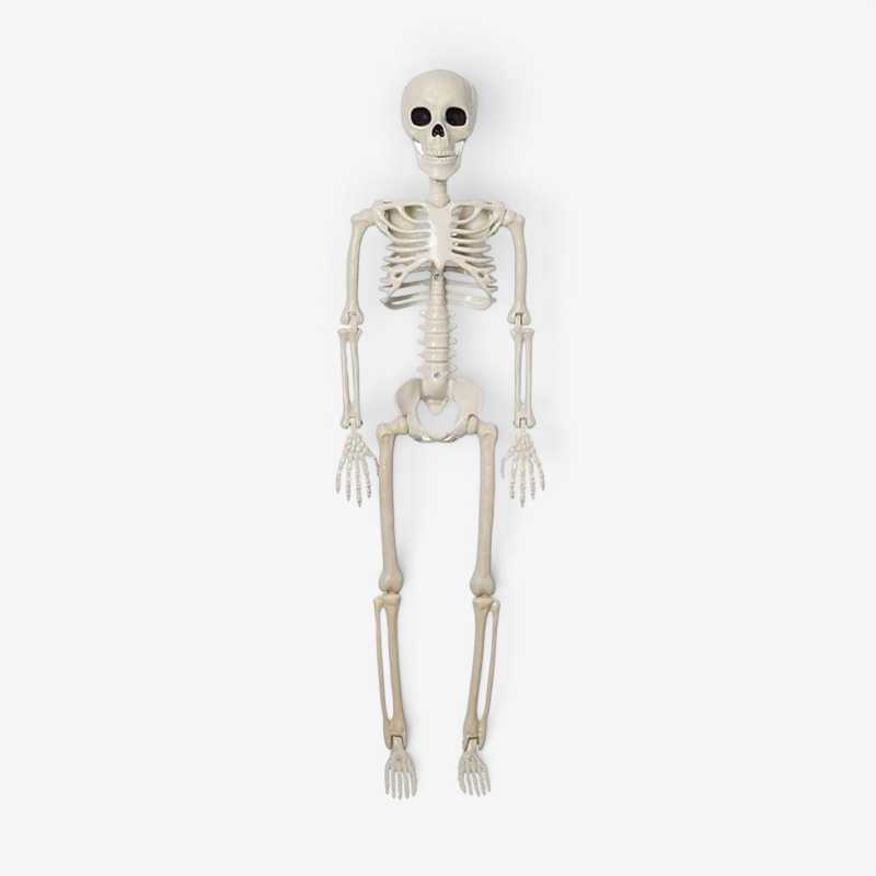 NightRaven - Interactive Halloween Skeleton Decor
