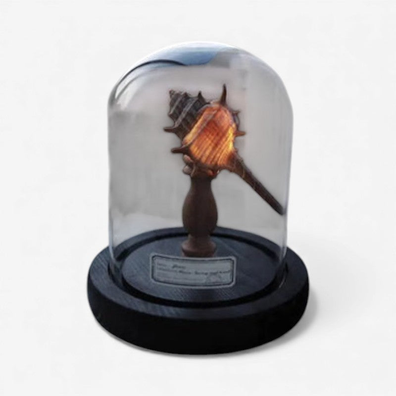 SeaLume – Mini LED Glass Bell Jar Lamp with Sea Mushroom Design