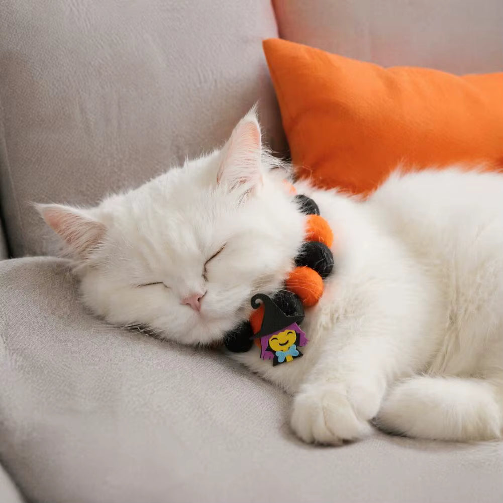 Festive Halloween Pet Collar with Pumpkin and Skull Patterns