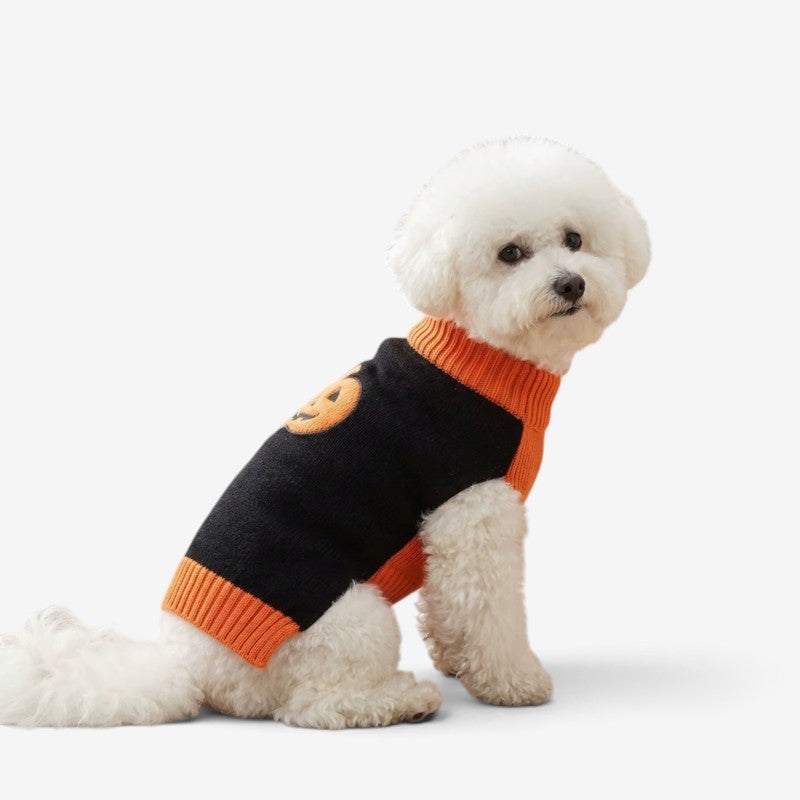 PawKnit - Spooky Pumpkin Dog Sweater