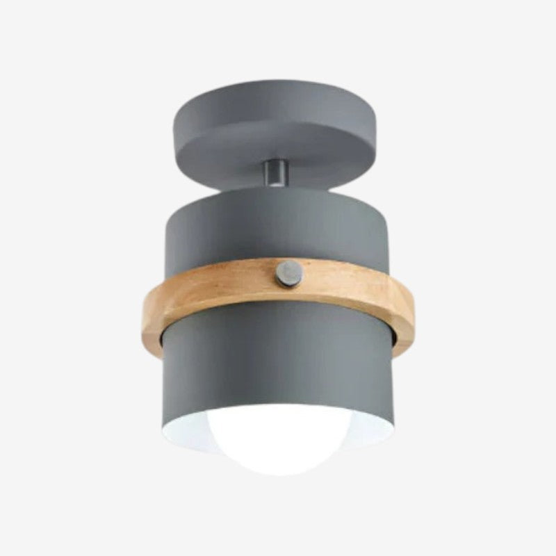 SpinLux – Rotating Ceiling Lamp