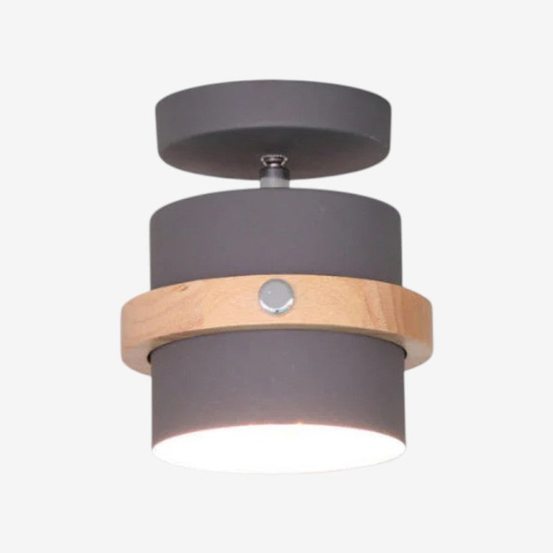 SpinLux – Rotating Ceiling Lamp
