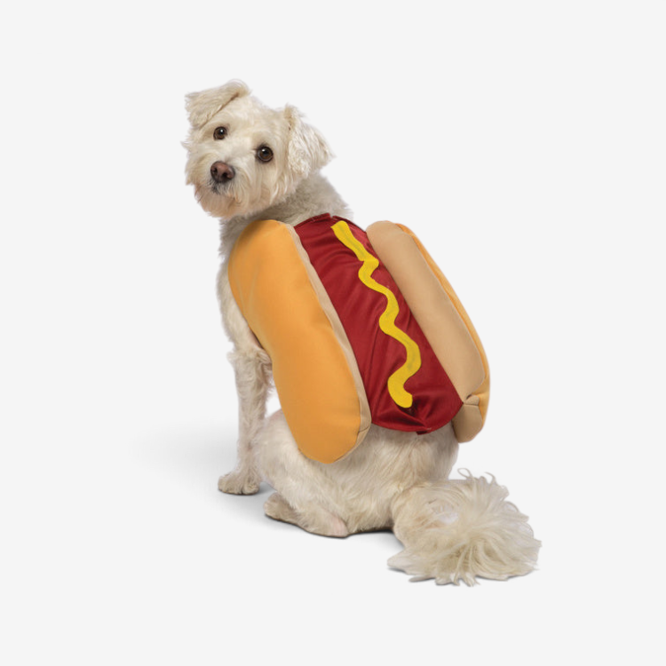 PawGrill - Fun Hot Dog Costume for Halloween
