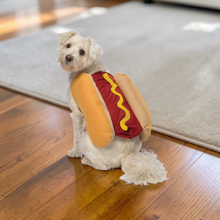 PawGrill - Fun Hot Dog Costume for Halloween