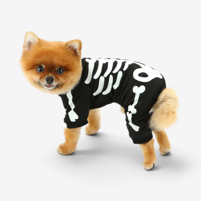 GlowBones - Skeleton Dog Jumpsuit with Glowing Design