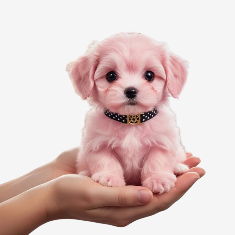 PlushPaws - Interactive Plush Dog with Touch-Activated Movement and Barking